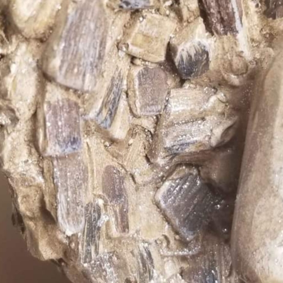 Indoor angel praying hands statue. Stands 21 inches high. - Picture 4 of 11